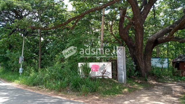 Roadside land near Dambulla town for Sale