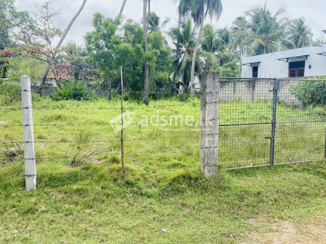 Coconut Land for sale in Chilaw