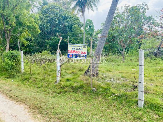 Coconut Land for sale in Chilaw
