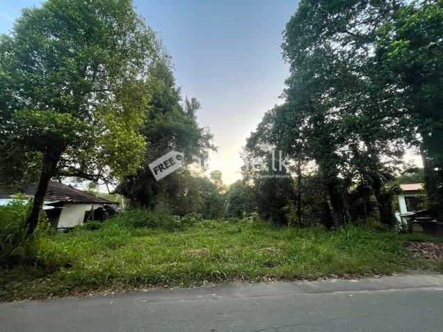 Land For Sale (Kandy - Yatihalagala Road)