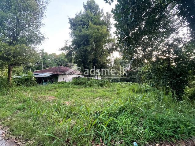 Land For Sale (Kandy - Yatihalagala Road)