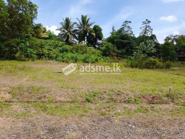 Land for Sale in Horana
