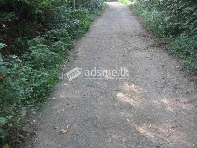 Land for sale in Nilwella