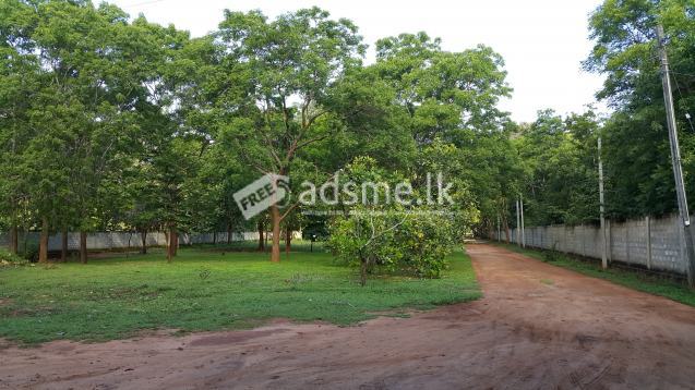 HOLIDAY RESORT FOR SALE IN KATHARAGAMA