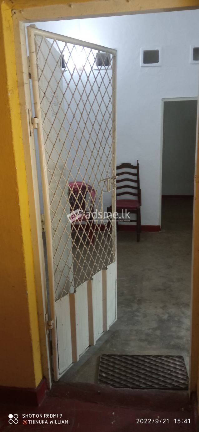 House for Rent in Colombo 12