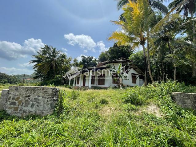 House with Land for sale