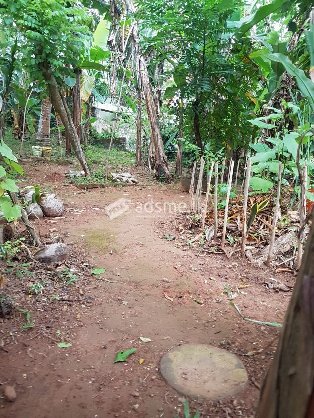10 Perches Land for sale in Pannipitiya