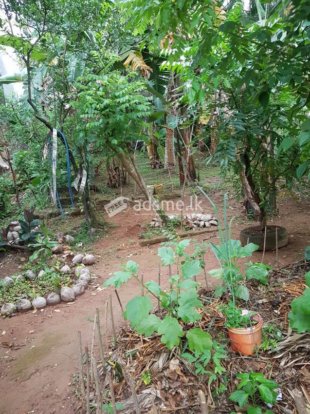 10 Perches Land for sale in Pannipitiya