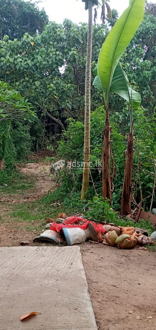 LAND FOR SALE  @  BEAUTIFUL LOCATION