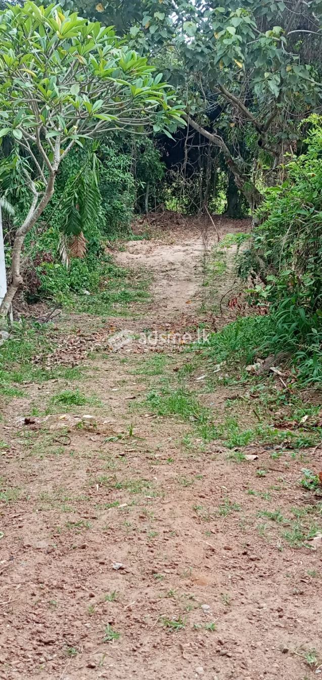 LAND FOR SALE  @  BEAUTIFUL LOCATION