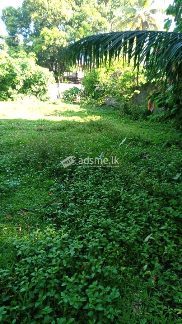 57 Land for sale