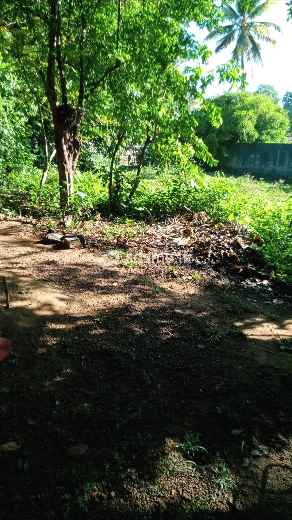57 Land for sale