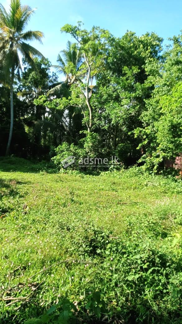 57 Land for sale