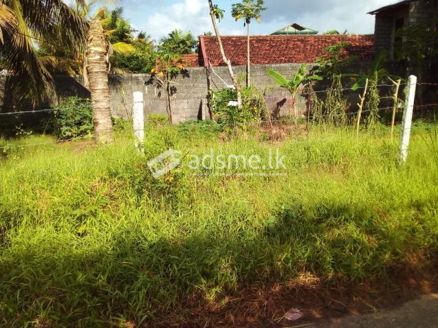 Land for sale or long-term rent in Madapatha, Piliyandala