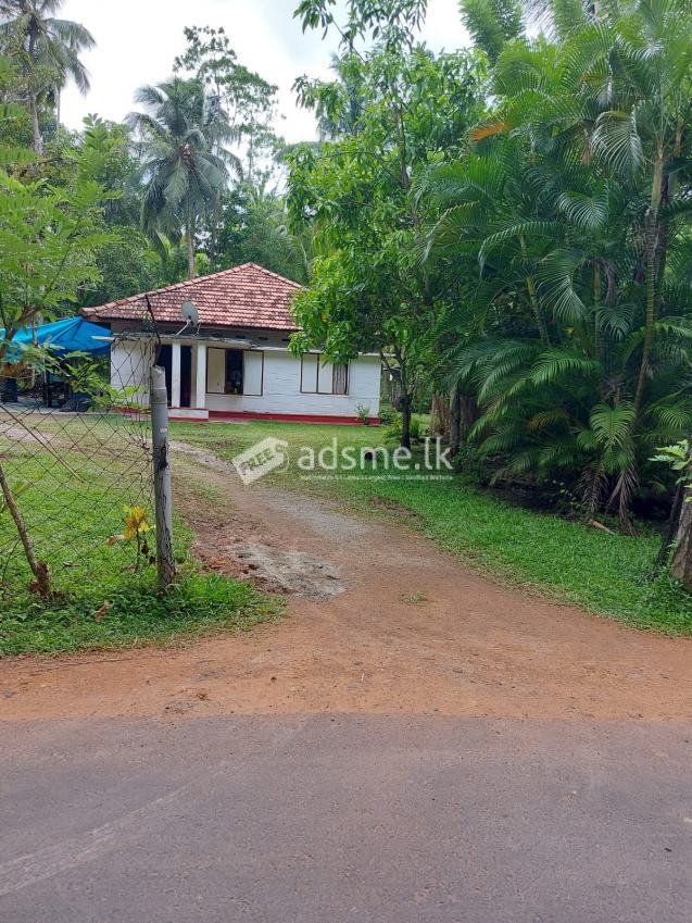 Land and 3 bedroom house for sale