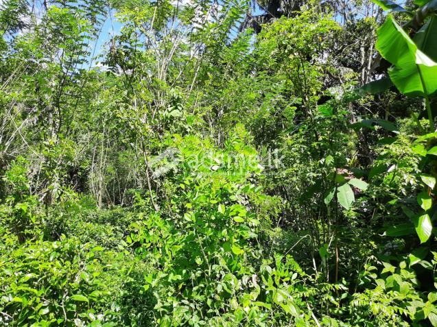 Land with home for sale