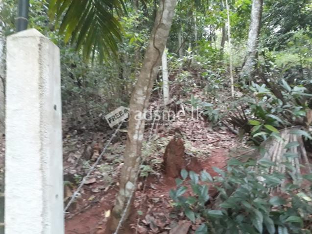 Bare Land for sale in Yatihalagala, Kandy