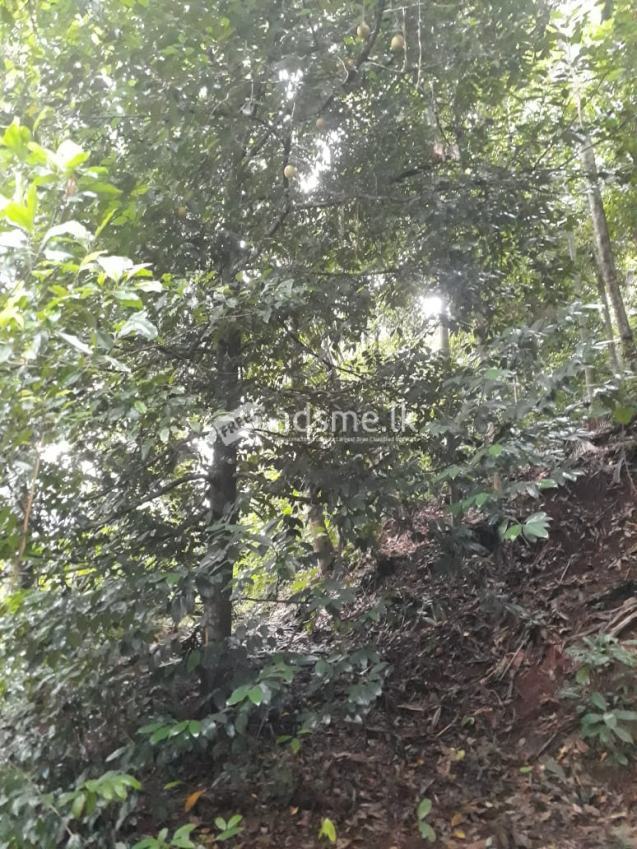 Bare Land for sale in Yatihalagala, Kandy