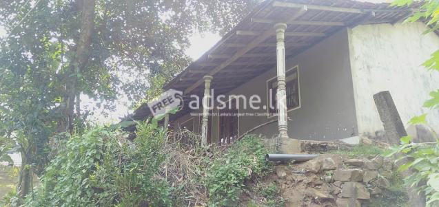Land for sale in pasyala town (Immediate sale)