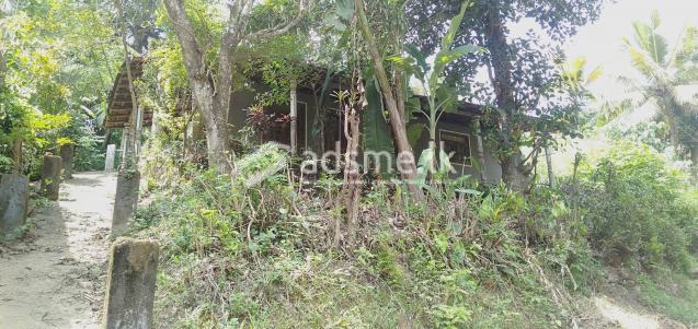 Land for sale in pasyala town (Immediate sale)