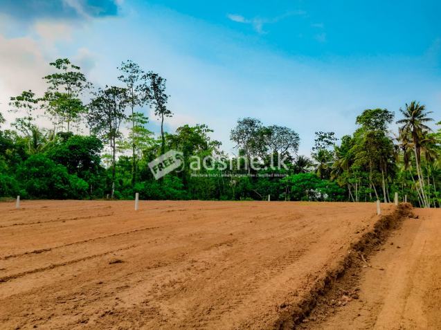 Land For Sale In Panadura - Alubomulla