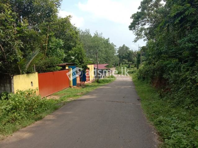 Horana Uduwa (Kananwila) බස් පාරට මායිම්ව පර්චස් 10 ඉඩමක් ඉක්මනින් විකිනීමට