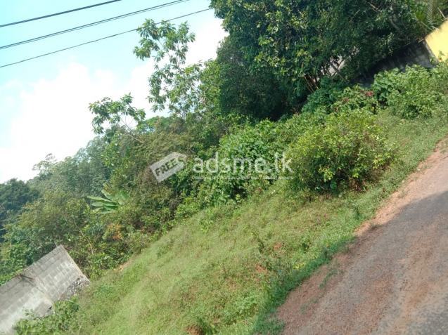 Horana Uduwa (Kananwila) බස් පාරට මායිම්ව පර්චස් 10 ඉඩමක් ඉක්මනින් විකිනීමට