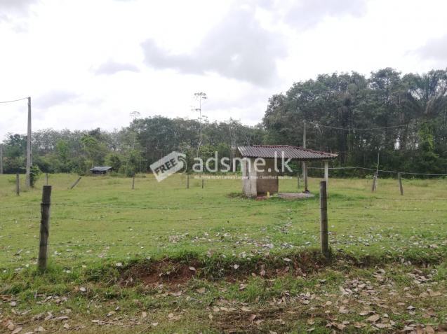Land For Sale In Horana - Aguruwathota