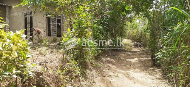 Land with a House for sale