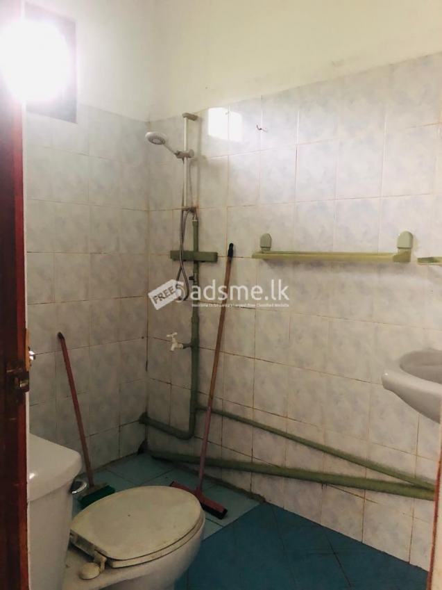 House For Rent in Ragama