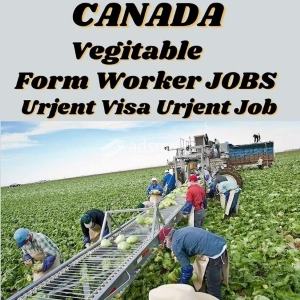 Canada Europe and USA JOBS for Sri Lankans;