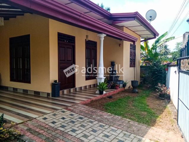 Fully Completely House for Sale
