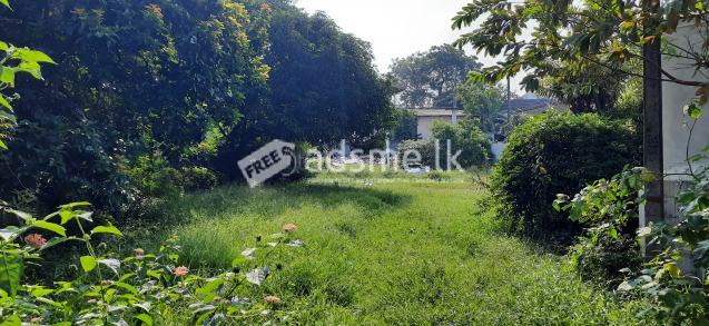 26P Residential Land for sale in Battaramulla