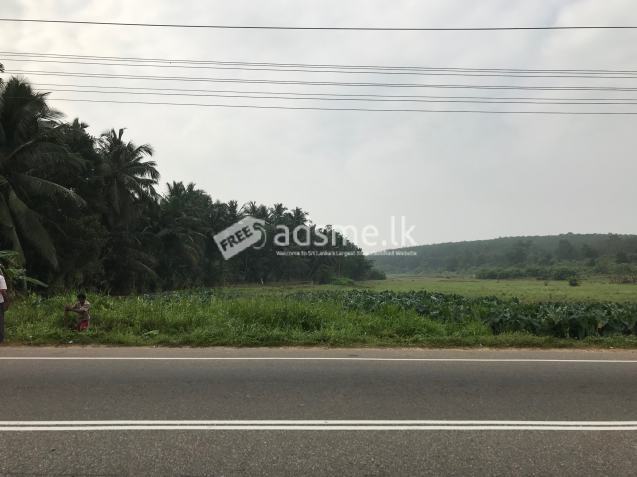 Land for Sale on Main Road - Poruwadanda Ilimba Horana