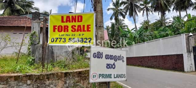 Bare Land for Sale