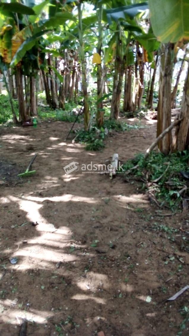 Land for Sale Near Kalutara North Railway Station - 14.9 Perches - Rs. 100 Lakhs ( Total Price )