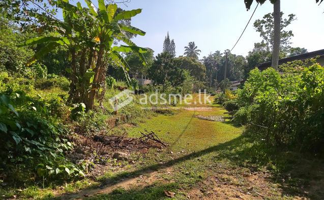 Land for sale in gonapinuwala