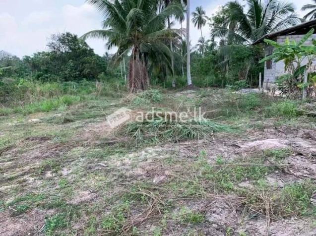 Valuable Land for sale in Divulapitiya, Meerigama road
