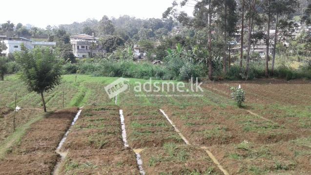 land with house in bandarawela