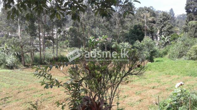 land with house in bandarawela