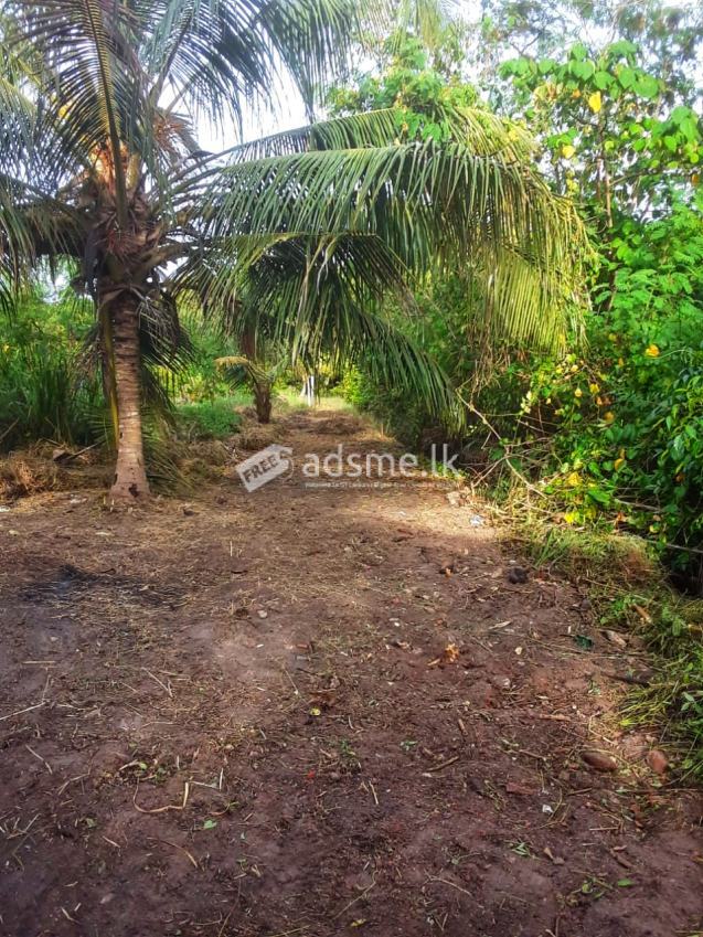 Land For sale in JaEla Dungalpitiya