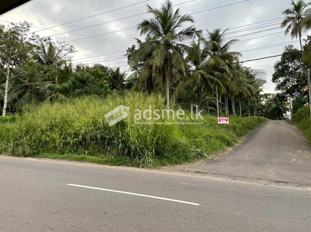 Land for Sale in Balummahara