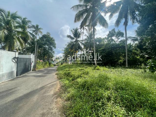 Land for Sale in Balummahara