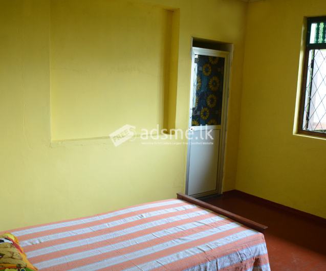 Room Rent In Krapitiya