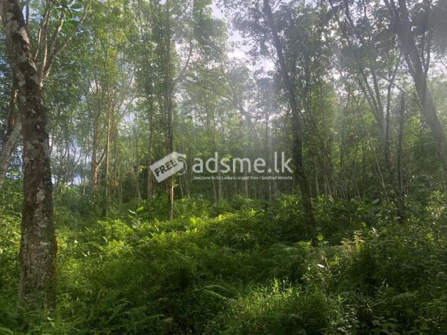 Rubber land for sell in deraniyagala