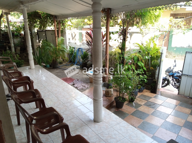 House with Annex for Sale in Kotte - Epitamulla Road