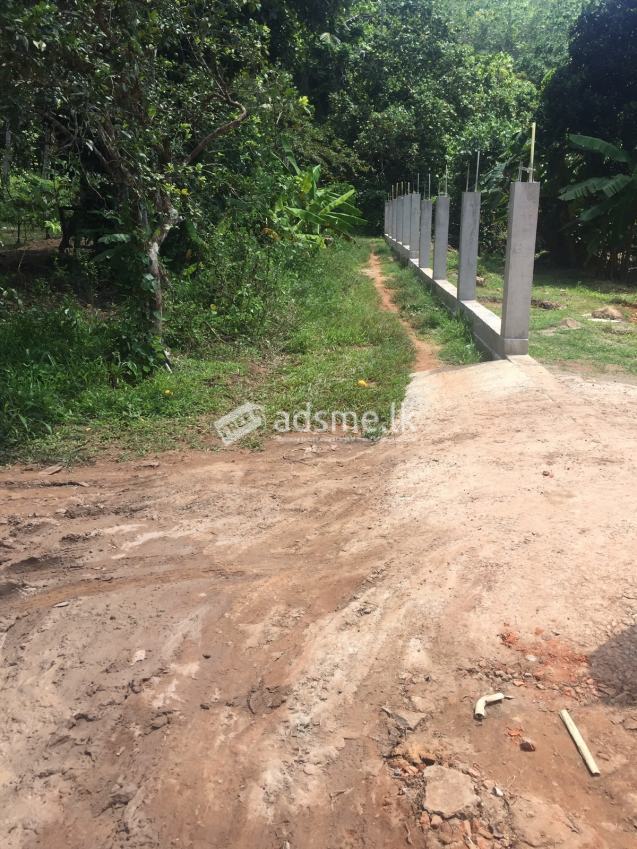 Land for sale in Matara (close to highway)