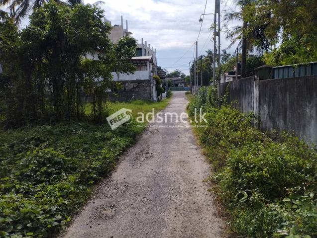 Valuable land for sale in Panadura