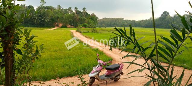 Paddy faced land in Kandy road Pasyala