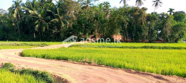 Paddy faced land in Kandy road Pasyala